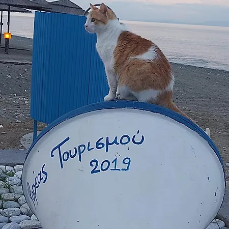 Oniro & Aparthotel 3*