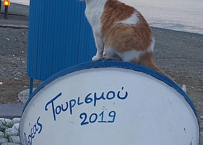 Oniro & Hotel de apartamente 3*